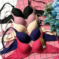 (8868) plain padded bra