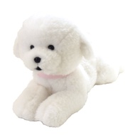 Bichon Frise Plush Toy S P-4135