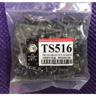 SCREW BODY COVER TS516 100PCS