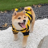 搞怪咪衣服防掉小蜜蜂比格犬狗狗小型可爱蓝春秋宠物卫衣Funny Mi Clothes Prevent Bee Beagle Dog20251102