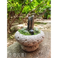 Moss Garden 1~Activate Good Things In Space, Stabilize The God Of Mind, Exude Positive Life Energy