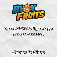 {CHEAPEST} Blox Fruits (Race v1-v4 full package) | Except for DRACO | PC games