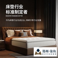 Special Mattress Style Roll Thickness 30cm Mattress Thickened Simmons Five-Star Same Package Hotel H