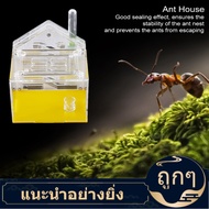 【คลิกเลย】Mangouu Acrylic ANT Nest Villa Ant Farm บ้านชาวนา Formicarium สำหรับ ANT Feeding