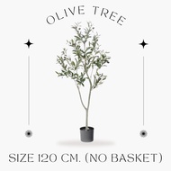 [120พร้อมส่ง/อื่นๆPRE14วันค่ะ]🫒🍃OLIVE TREE ต้นมะกอกปลอม ขายดีมากค่ะ มินิมอลมาก เหมือนจริงมาก เชื่อว่