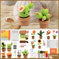 6Pcs Crochet Starter Kit Complete Potted Plant Crochet Kit Cute Crochet Knitting Kit Colorful Croche