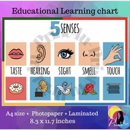 5 senses laminated learning chart for kids - print4u