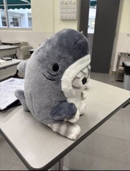 可愛鯊魚造型貓咪毛公仔
