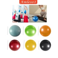 [Amleso1] Small Pilates Ball Core Ball Heavy Duty Thickened 9 Inch Exercise Ball Yoga Ball for Gymnastics Working Out Stability Home Gym