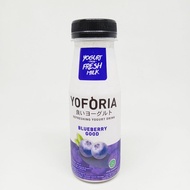 YOFORIA YOGURT DRINK BLUEBERRY 200 ML SURABAYA
