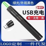 303 Rechargeable USB Laser Flashlight Outdoor Laser Flashlight Educational Whip Pen Building Indicat