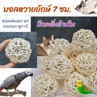 Giant Rattan Ball + Bell Toys For Birds Cat Squirrel Sugar Glider Cute Big And Satisfying (Giant Bal