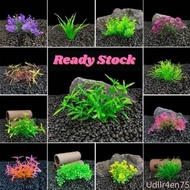 【New】5cm Artificial Grass Plastic Plants For Mini Fish Tank Aquarium Decoration Bunga hiasan tiruan utk akuarium mini