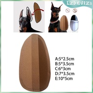 [lzdhuiz3] Pet puppy ear Stand Corrector Tool puppy ear  Sticker for Doberman Pinscher Dog Samoyed