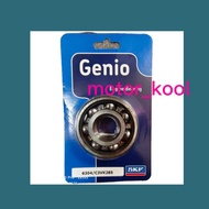 SKF BEARING GENIO 6304 C3 /6205 C3