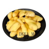 (Superior Quality Express) Soaked Ginger 500g, Authentic Laotan Yellow Ginger, Sichuan Cuisine Ingredients, Pickled Salted Soaked Pickled Vegetables, Catering Seasoning
