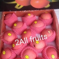 buah apel fuji fresh import 1dus