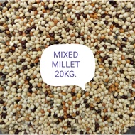 (1 Gunny) Mix Millet Bird Feed Food (20kg)