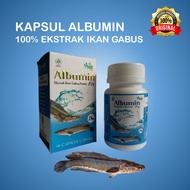 Albumin Fit Snakehead Fish Extract Capsules