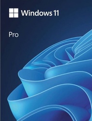 Windows 11 Pro FPP USB 32/64Bits