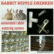 READY STOCK MALAYSIA. NIPPLE DRINKER. RABBIT. ARNAB. PET AUTO DRINKER