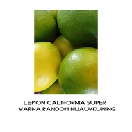 Lemon California 1kg-Jeruk Lemon California-Jeruk Lemon - lemon segar 1kg