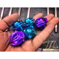 Titanium Gr5 Oil Screw