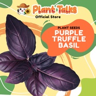 Plant Talks Dark Opal Basil Special Ruffles Purple Basil Plant Herb Seeds