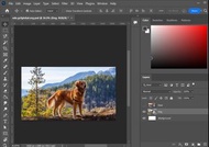 [專人安裝] Photoshop 2025 Windows 永久使用