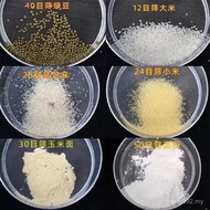 。Mesh Mini Gong Large Hole Plug Sieve Noodle Basket Leaky Powder Drying Flour Sieve Mesh Sieve Stone