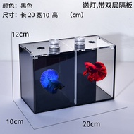 Akuarium ikan utama, akuarium ikan laga akrilik, akuarium PK dua tangki, akuarium ikan kecil, akuari