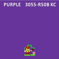 5 liters Nanolite Ionpaint Premium interior wall paint with air purification function ( colour ) 5L