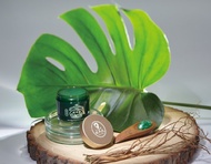 【王大夫一條根】一條根擦倍靈油膏 (50g)