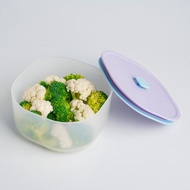 Color日日保鮮盒 1000ml 便當盒 環保餐盒 可微波 台灣製造