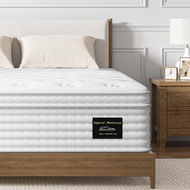 Queen Mattress - 14 Inch Plush Hybrid Mattress In A Box - Soft Memory Foam And Individual Pocket Spr