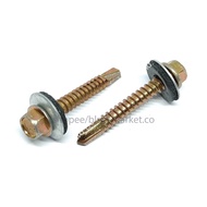 Self Drilling Hex Head Roofing Awning Screw for Metal/ HEX SELF DRILLING SCREW C/W WASHER DS-HW