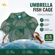 🐟[8/6 Holes Fishing Net] BuBu Payung Ikan Udang Portable Cast Fold Crab Trap Bubu Payung 虾网