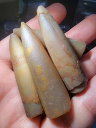 馬達加斯加 玉質 魚箭石 化石標本 海洋生物 奇石