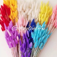 rabbit tail bunny tail 30 heads