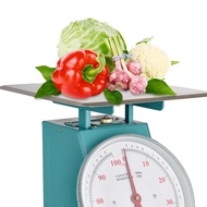 [BISA COD] TIMBANGAN DUDUK JARUM / PEGAS Nagami 100kg Timbangan laundry Timbangan Ekspedisi Timbanga