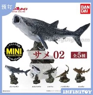 BANDAI 生物大圖鑑 海洋鯊魚擺件鯨鯊大白鯊 全套扭蛋