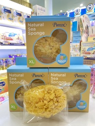 Pureen Natural Sea Sponge ฟองน้ำธรรมชาติ ขนาดไซร์ XL