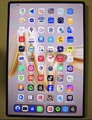 華為 Matepad Pro 2025 12.2寸