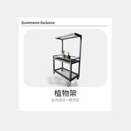 塊根植物架 加粗方管鐵製一體成型 菱格網植物架 花架 工業風