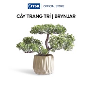 Cây trang trí | BRYNJAR | nhựa PE | xanh/xám nhạt | R27xD15xC22cm