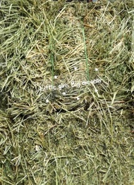 Alfalfa Hay 1kg Dried Imported Hay Jerami Alfalfa for Rabbits Guinea Pig