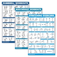 QuickFit 3 Pack - Dumbbell Workouts + Bodyweight Exercises + Stretching Routine Poster Set - Set of 