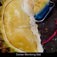 Durian Montong Bali Utuh ,berat 3 kg sd 3.2 kg