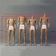 1/6 25Cm/27Cm Male Standard Muscle Body Bd001/Bd002/Bd003/Bd004 12'' Action Figure Model For Hobby