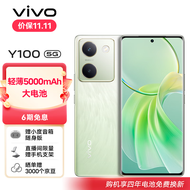 vivo Y100 8GB+256GB 琉云青 超薄5000mAh电池 6400万OIS光学防抖 44W超快闪充 5G 快充 拍照 手机